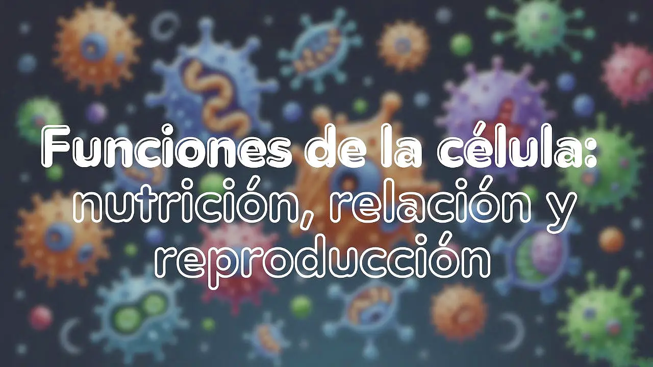 Funciones de la célula: nutrición, relación y reproducción