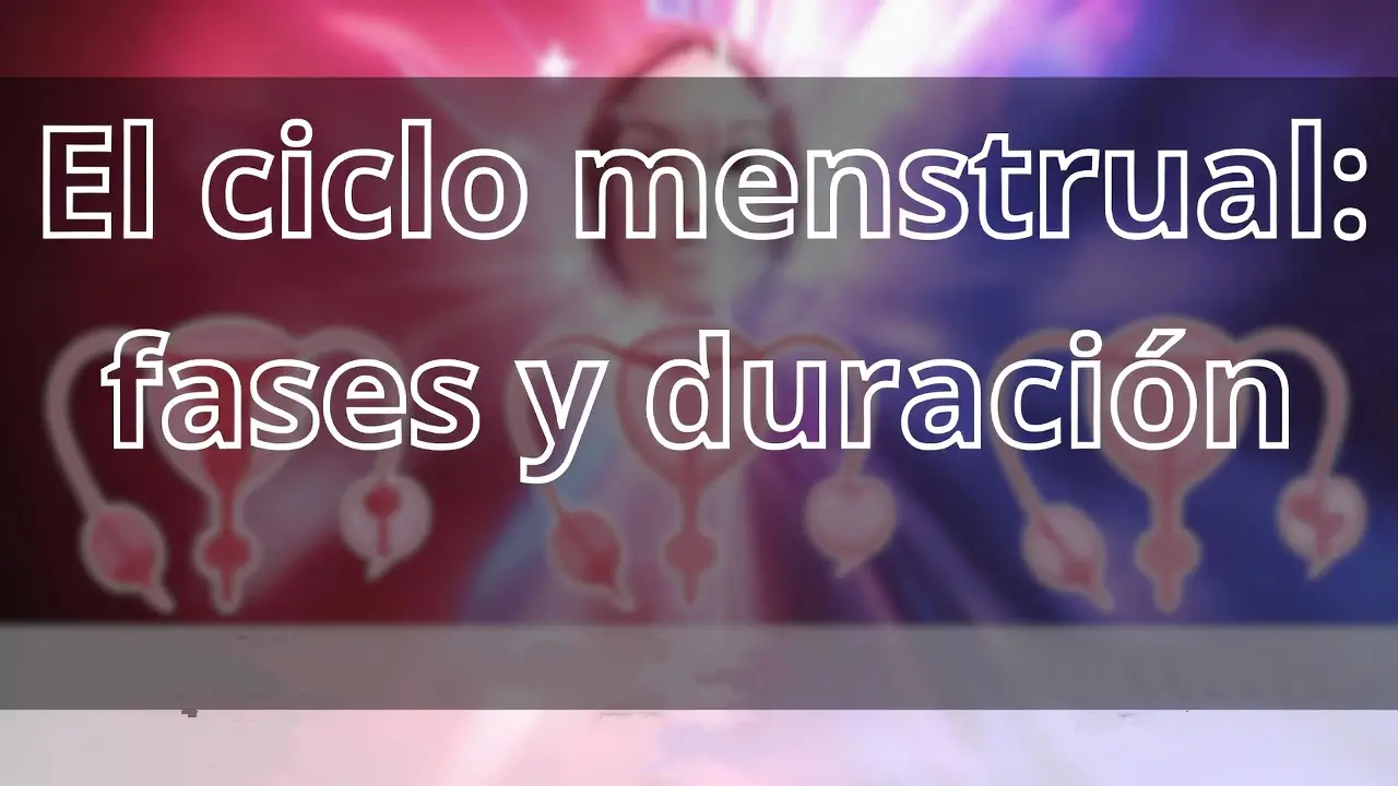 El ciclo menstrual: fases y duración