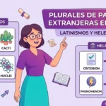 Plurales de palabras extranjeras en inglés: latinismos, helenismos y más