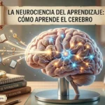 La neurociencia del aprendizaje: cómo aprende el cerebro